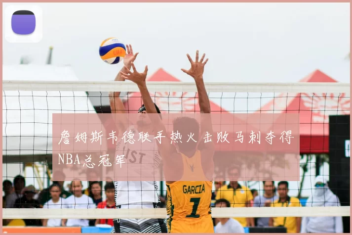 詹姆斯韦德联手热火击败马刺夺得NBA总冠军